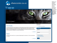 shane zentz website design and development